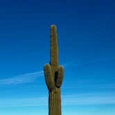 Review photo of Gunsight Wash BLM Dispersed camping area by Christie S., January 8, 2026