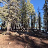 Review photo of Hawley Lake Apache Indian Res by MB's J., March 15, 2026