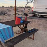 Review photo of Homolovi State Park Campground by Vidalia S., March 2, 2026