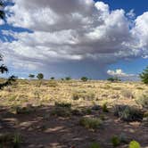 Review photo of Homolovi State Park Campground by Julie G., June 30, 2024