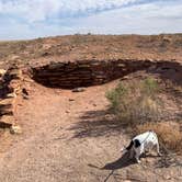 Review photo of Homolovi State Park Campground by Shawn , October 19, 2024