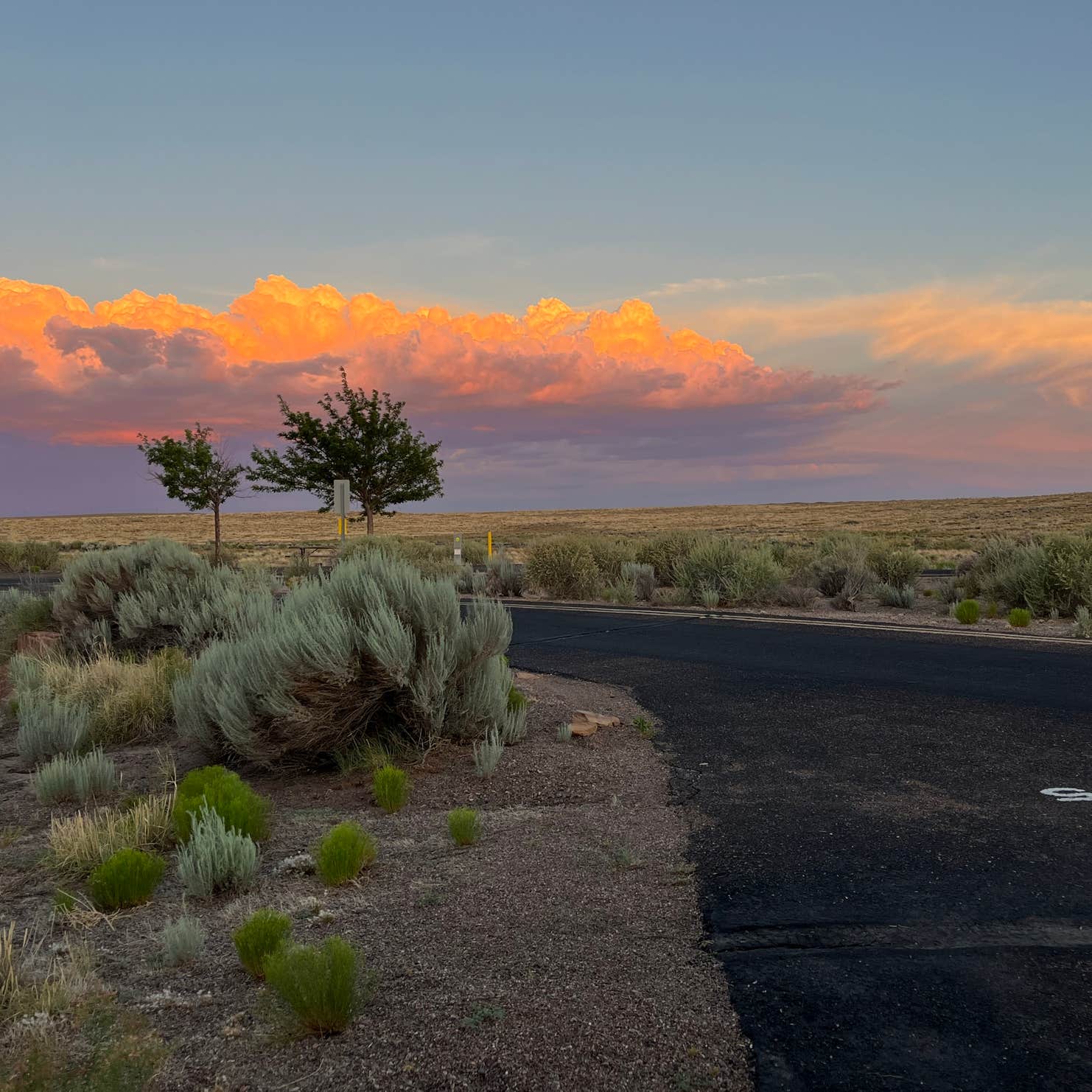 Homolovi State Park Campground | Winslow, AZ