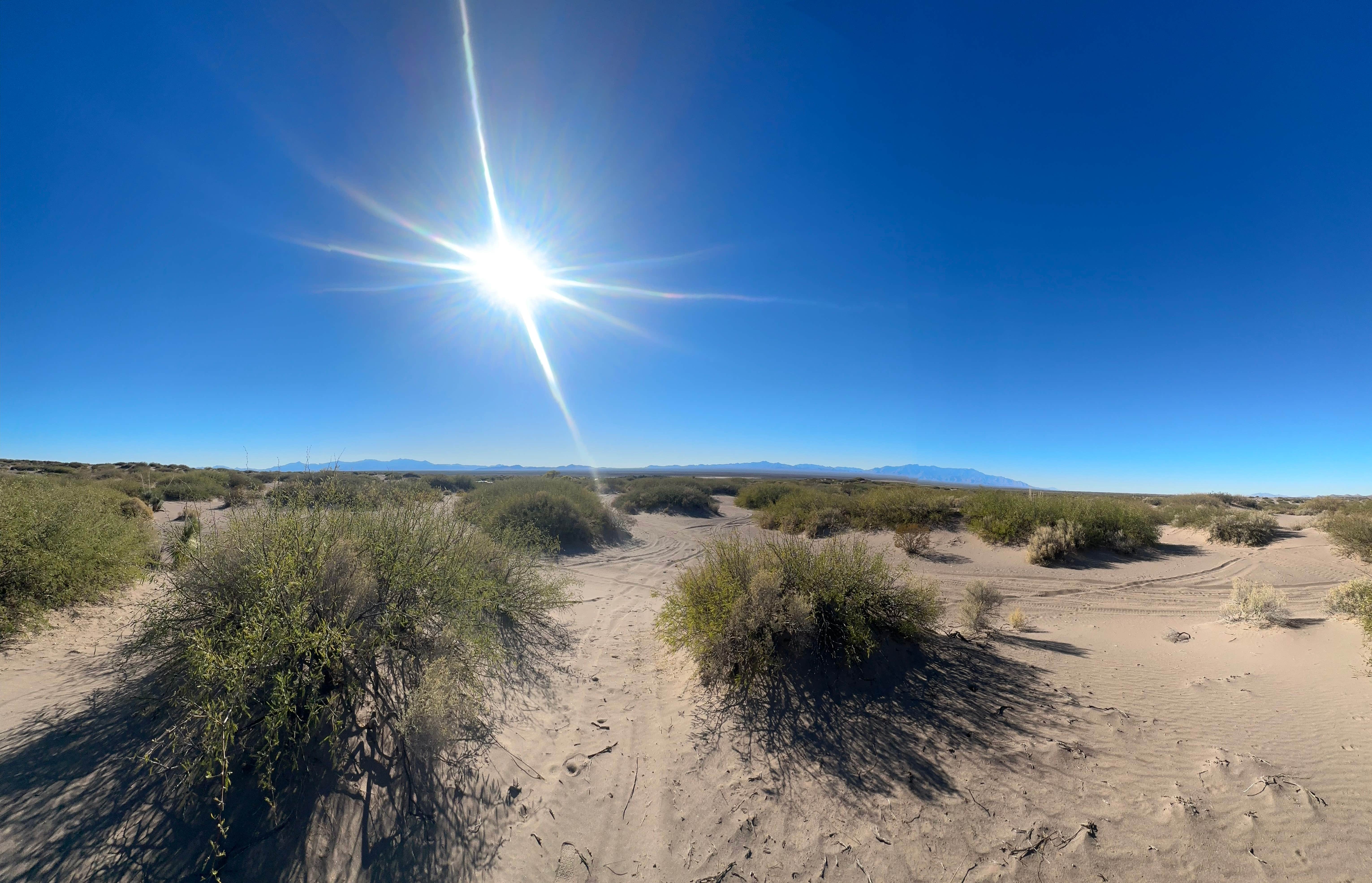 Hot Well Dunes Recreation Area Camping | Bowie, Arizona