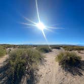 Review photo of Hot Well Dunes Recreation Area by Christian M., November 13, 2024