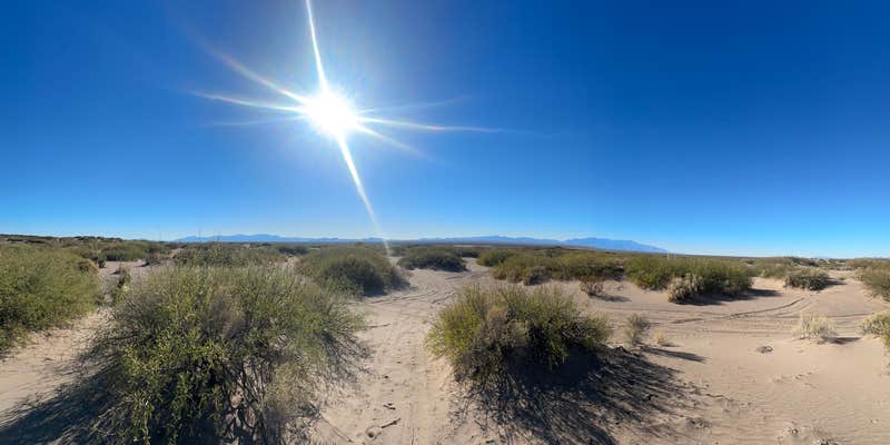 Camper submitted image from Hot Well Dunes Recreation Area