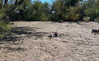 Christian M.'s photo of camping with pets at Hot Well Dunes Recreation Area near Portal, AZ