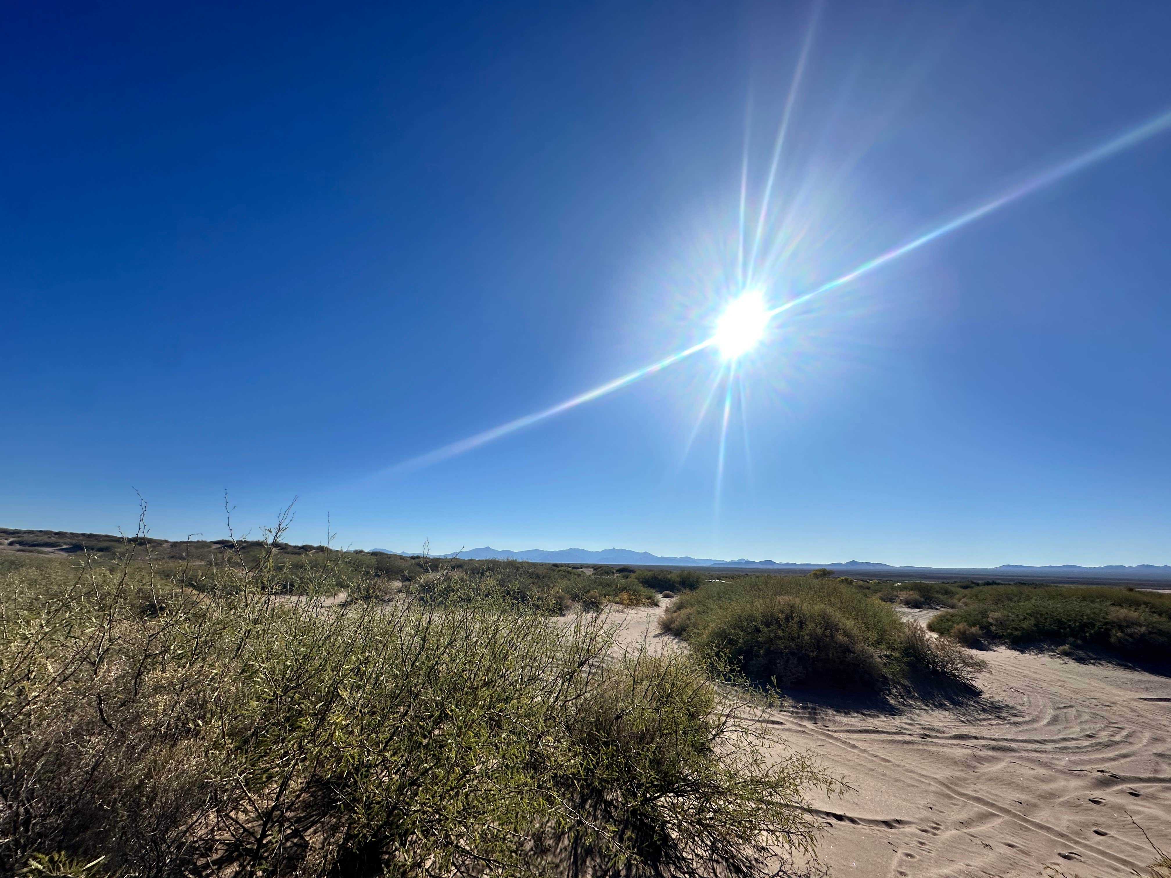 Camper-submitted photo at Hot Well Dunes Recreation Area near Duncan, AZ
