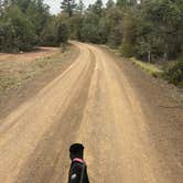 Review photo of Houston Mesa Campground by Chanel T., April 3, 2026