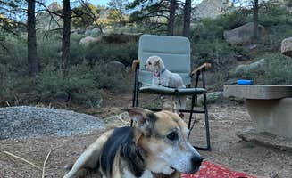 Elizabeth H.'s photo of camping with pets at Hualapai Mountain Park near Oatman, AZ