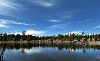 Camping near Springerville RV Park: Hulsey Lake Fishing Site, Alpine, Arizona