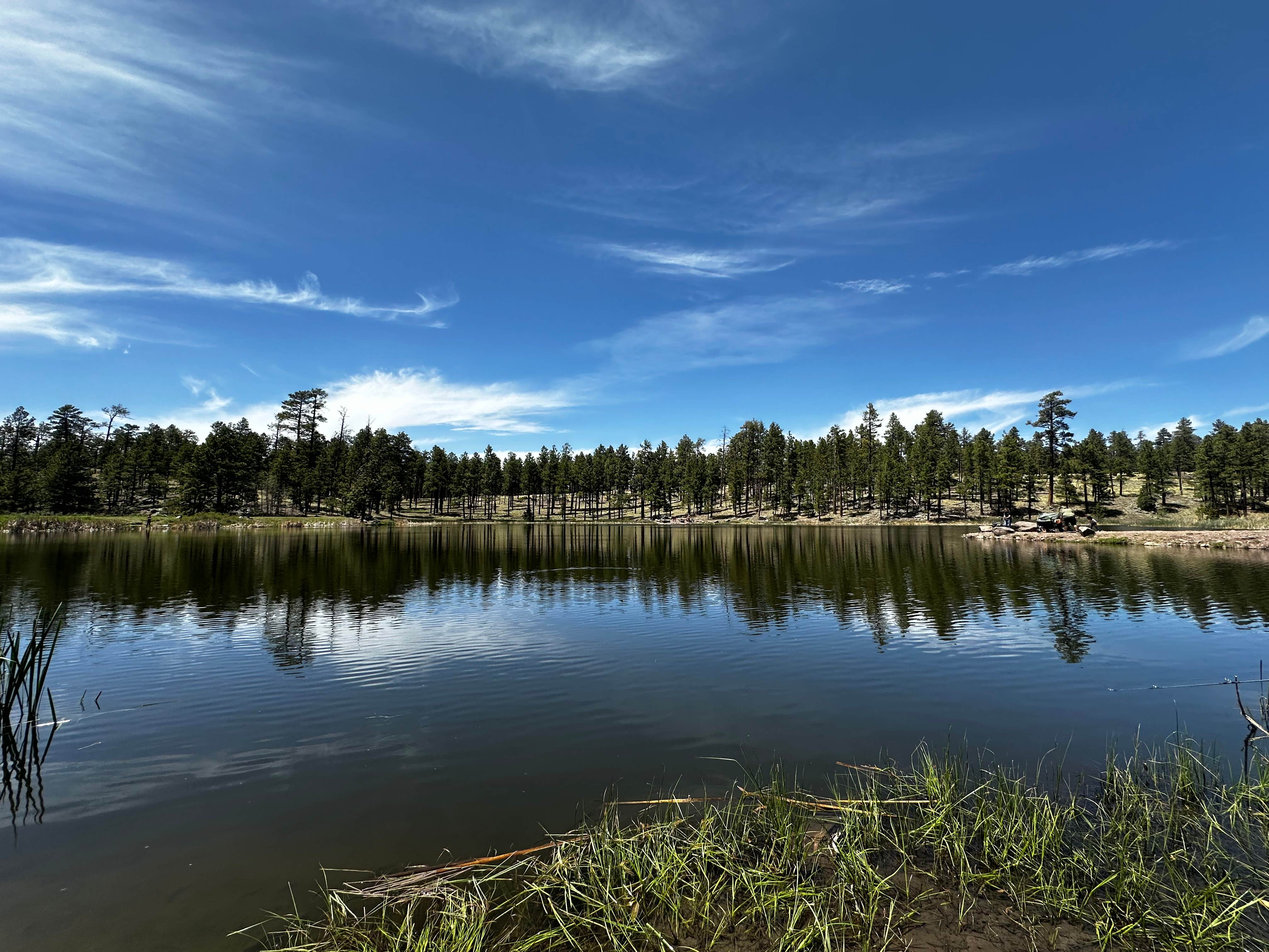 Camper submitted image from Hulsey Lake Fishing Site - 1