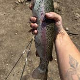 Review photo of Hulsey Lake Fishing Site by Shane W., May 26, 2024