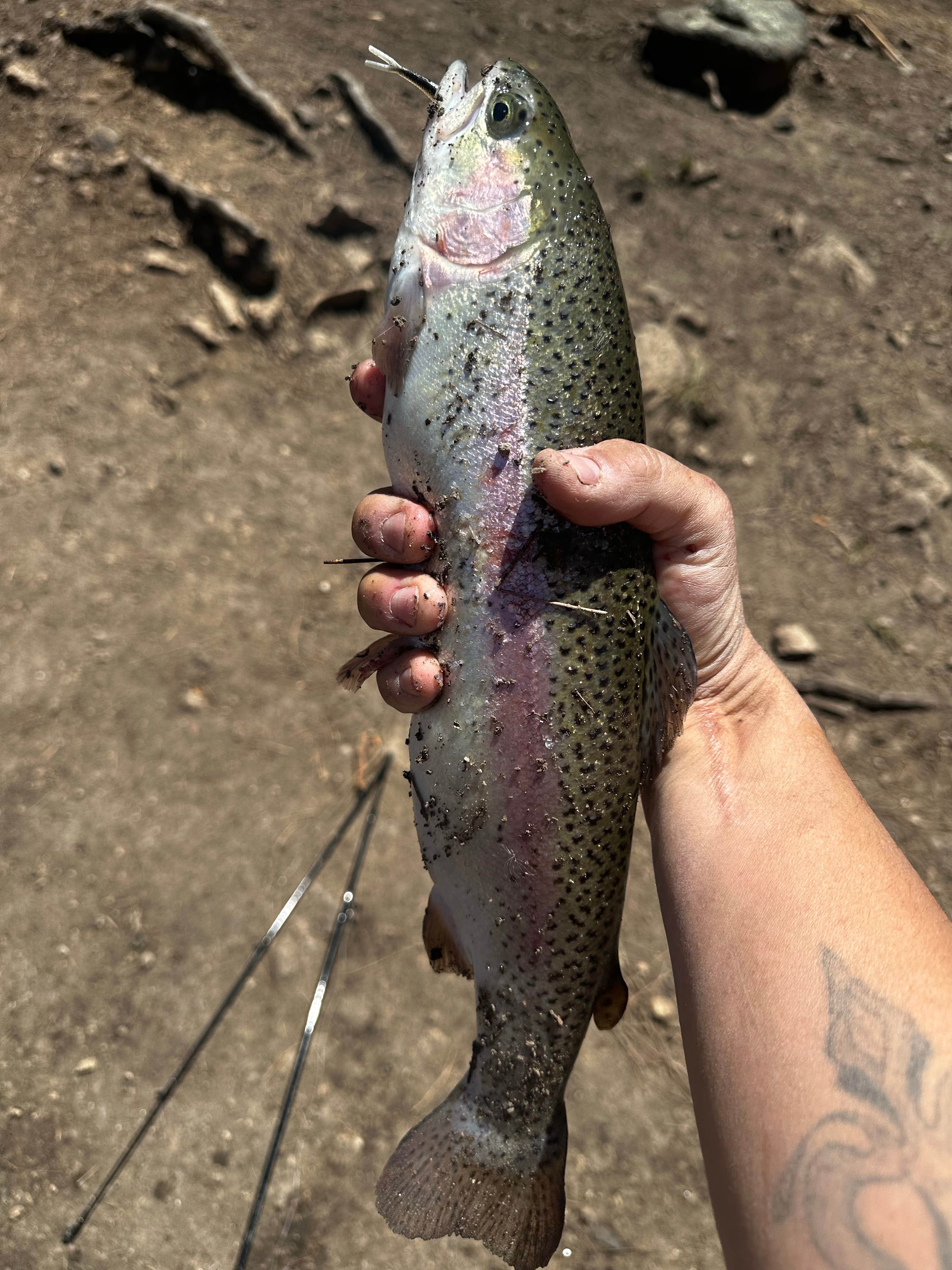 Camper submitted image from Hulsey Lake Fishing Site - 5