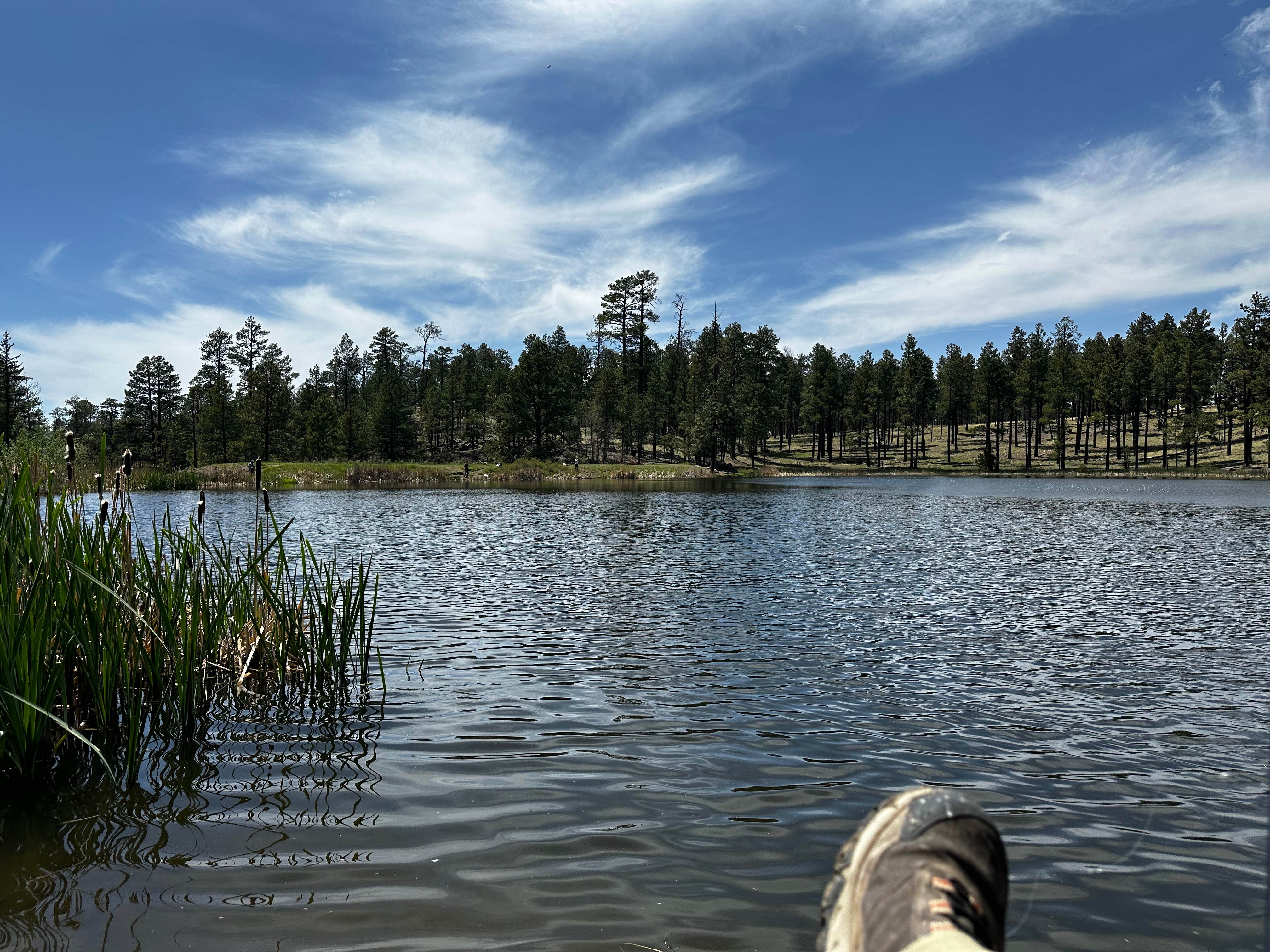 Camper submitted image from Hulsey Lake Fishing Site - 2