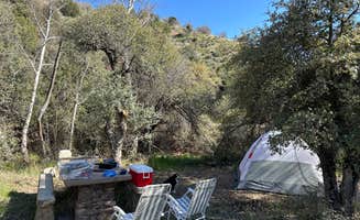 Monte W.'s photo of camping with pets at Jones Water Campground near Winkelman, AZ