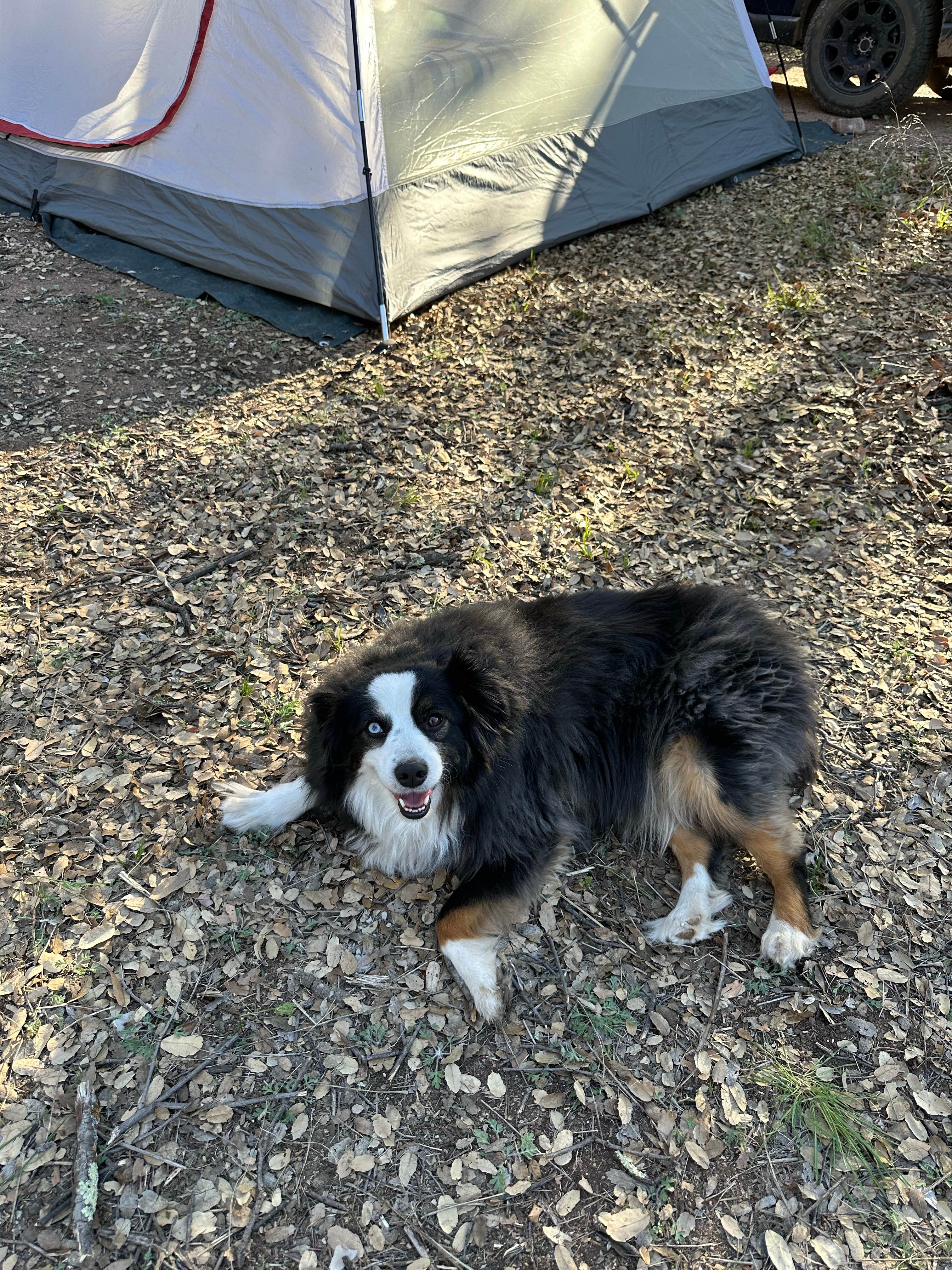 Monte W.'s photo at Jones Water Campground near Globe, AZ