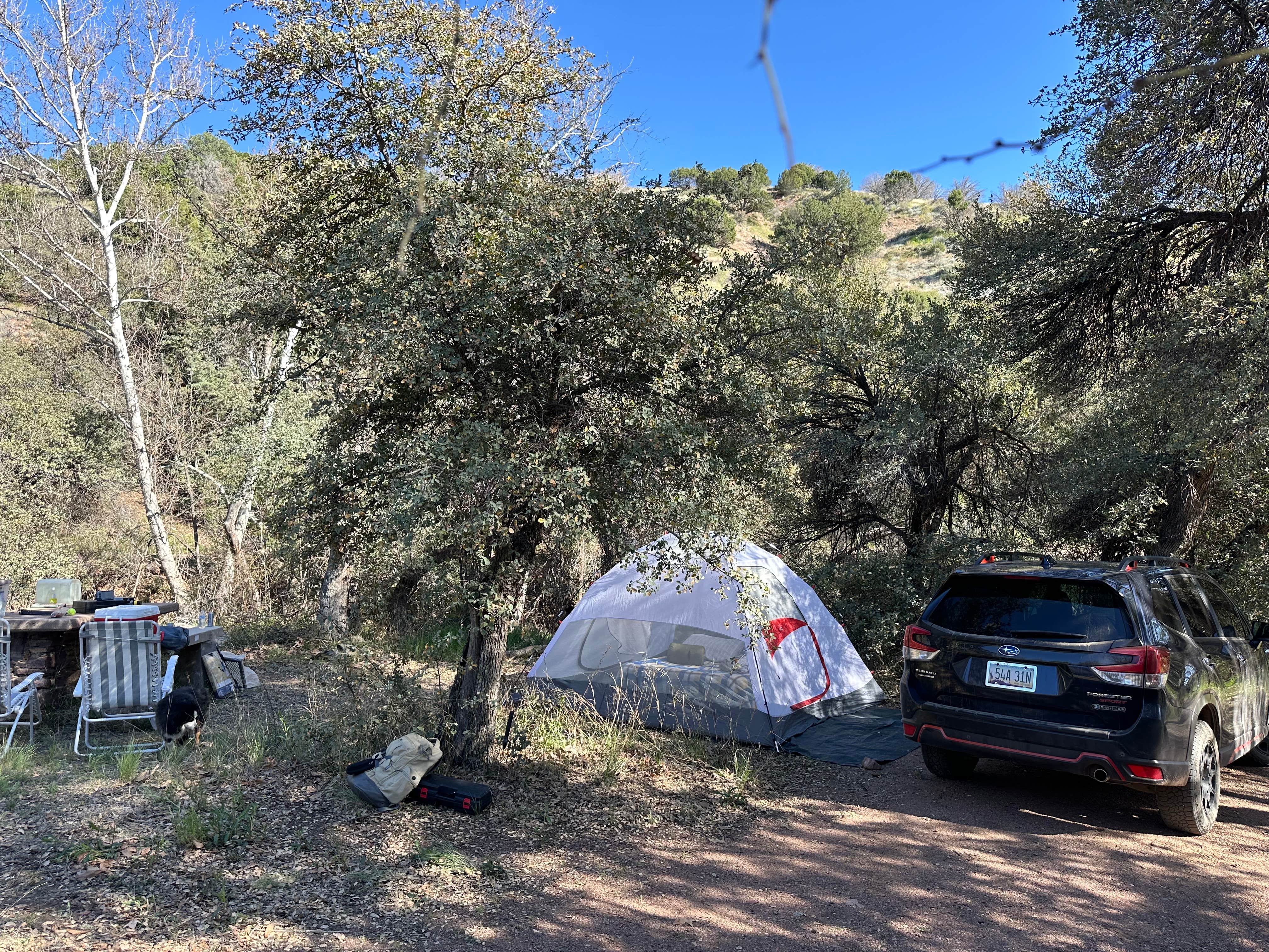 Camper-submitted photo at Jones Water Campground near Globe, AZ