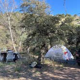 Review photo of Jones Water Campground by Monte W., April 23, 2024