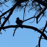 Review photo of Kaibab Lake Sites And Group Areas by Jake M., October 4, 2025