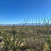 Review photo of Kartchner Caverns State Park Campground by Lisa M., October 28, 2025