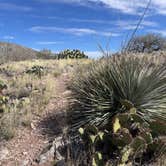 Review photo of Kartchner Caverns State Park Campground by Teri N., February 5, 2026