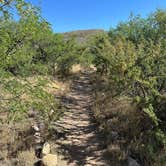 Review photo of Kartchner Caverns State Park Campground by David T., June 18, 2024