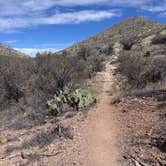 Review photo of Kartchner Caverns State Park Campground by Teri N., February 5, 2026