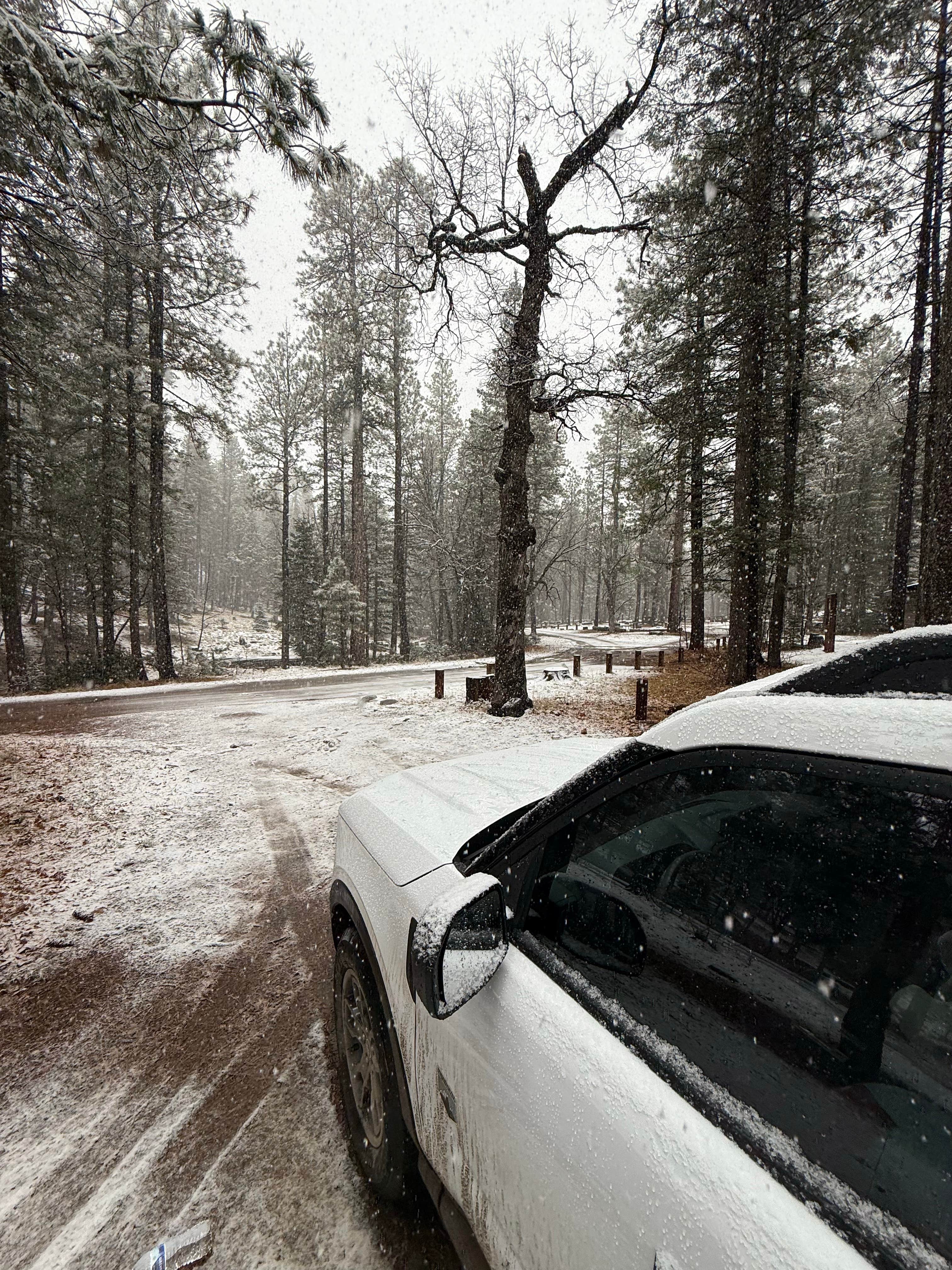 Camper-submitted photo at Kehl Springs Campground near Strawberry, AZ