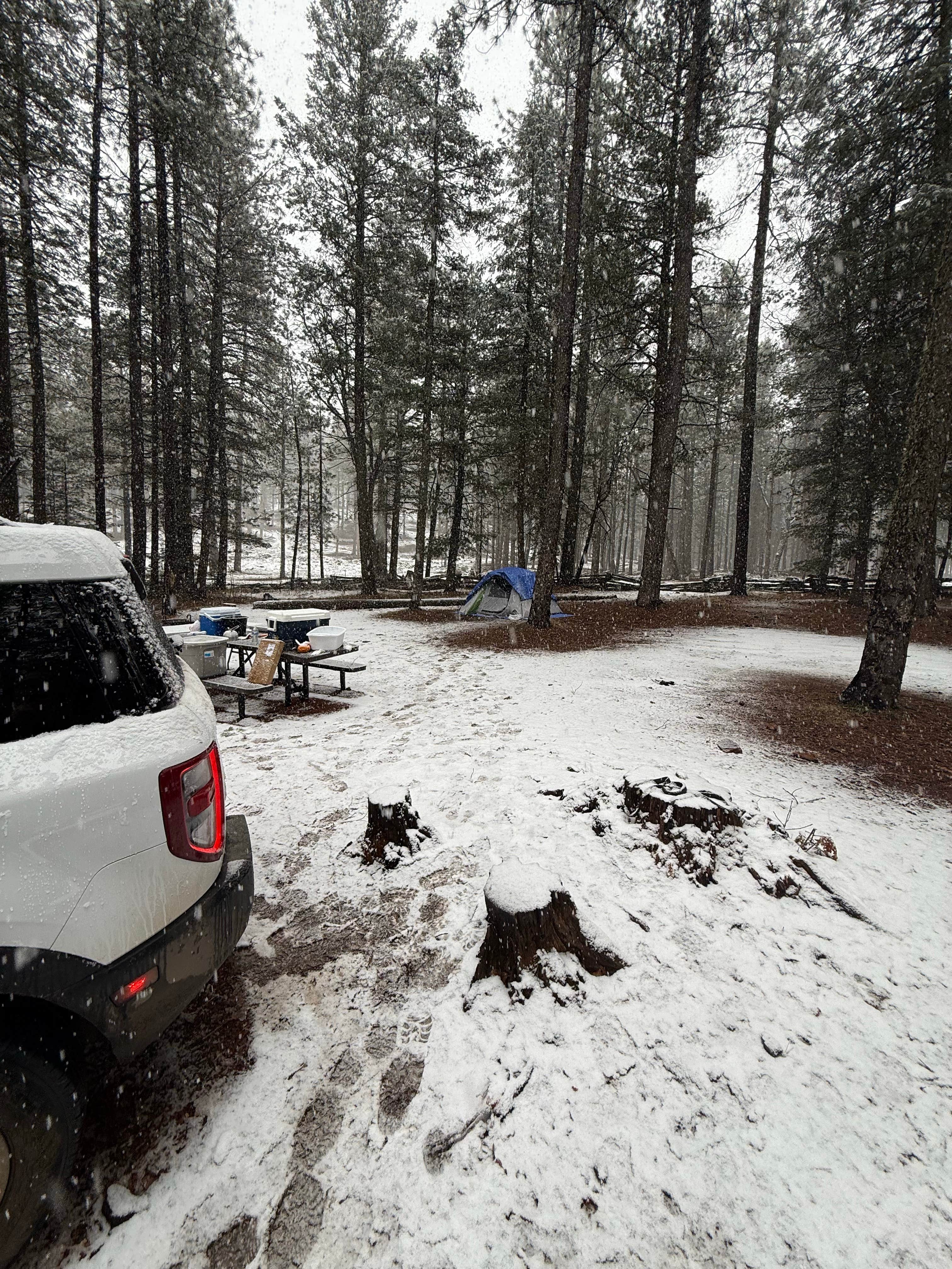 Camper-submitted photo at Kehl Springs Campground near Strawberry, AZ