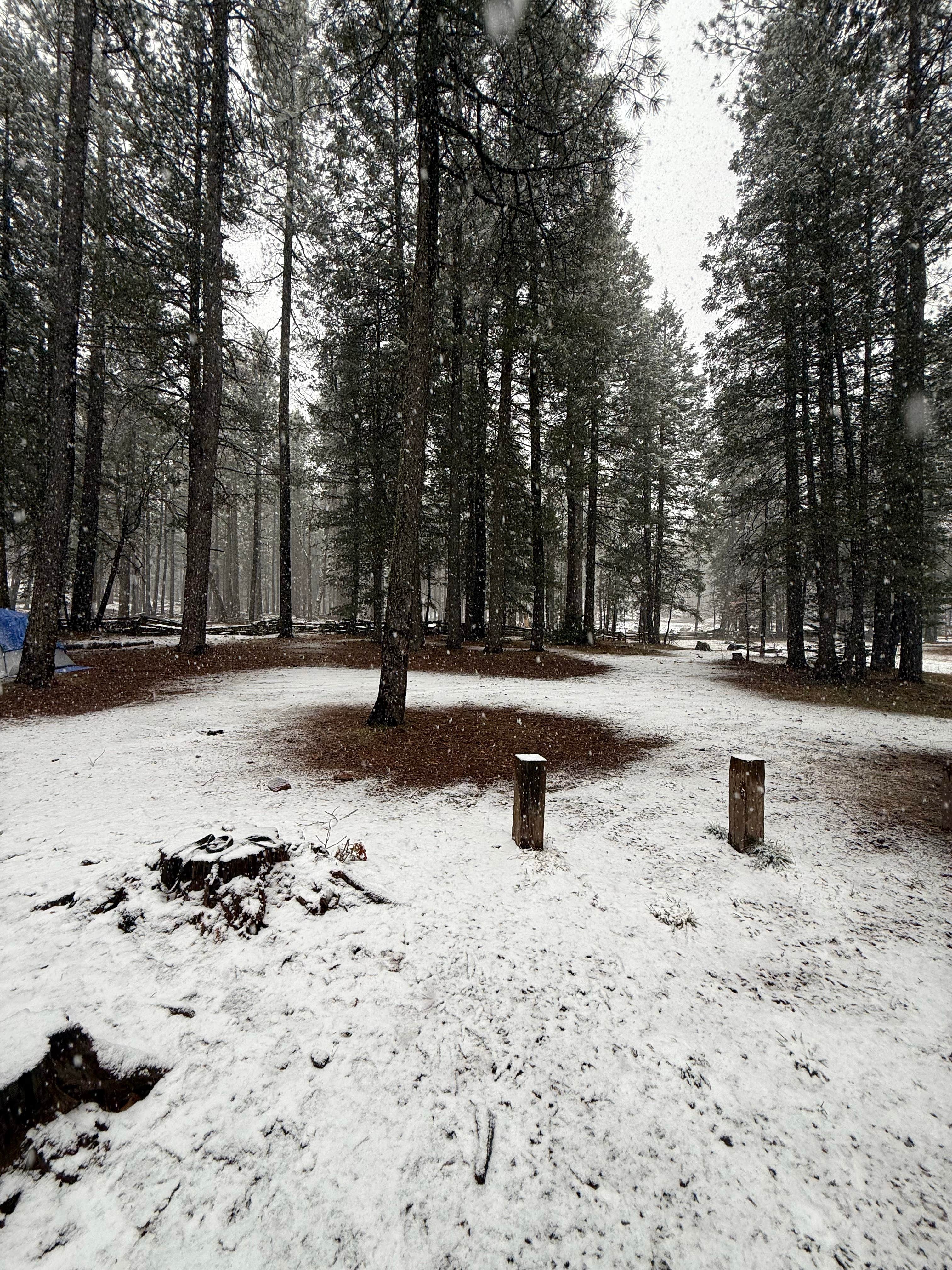 Camper-submitted photo at Kehl Springs Campground near Strawberry, AZ