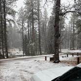 Review photo of Kehl Springs Campground by Delilah P., February 15, 2026
