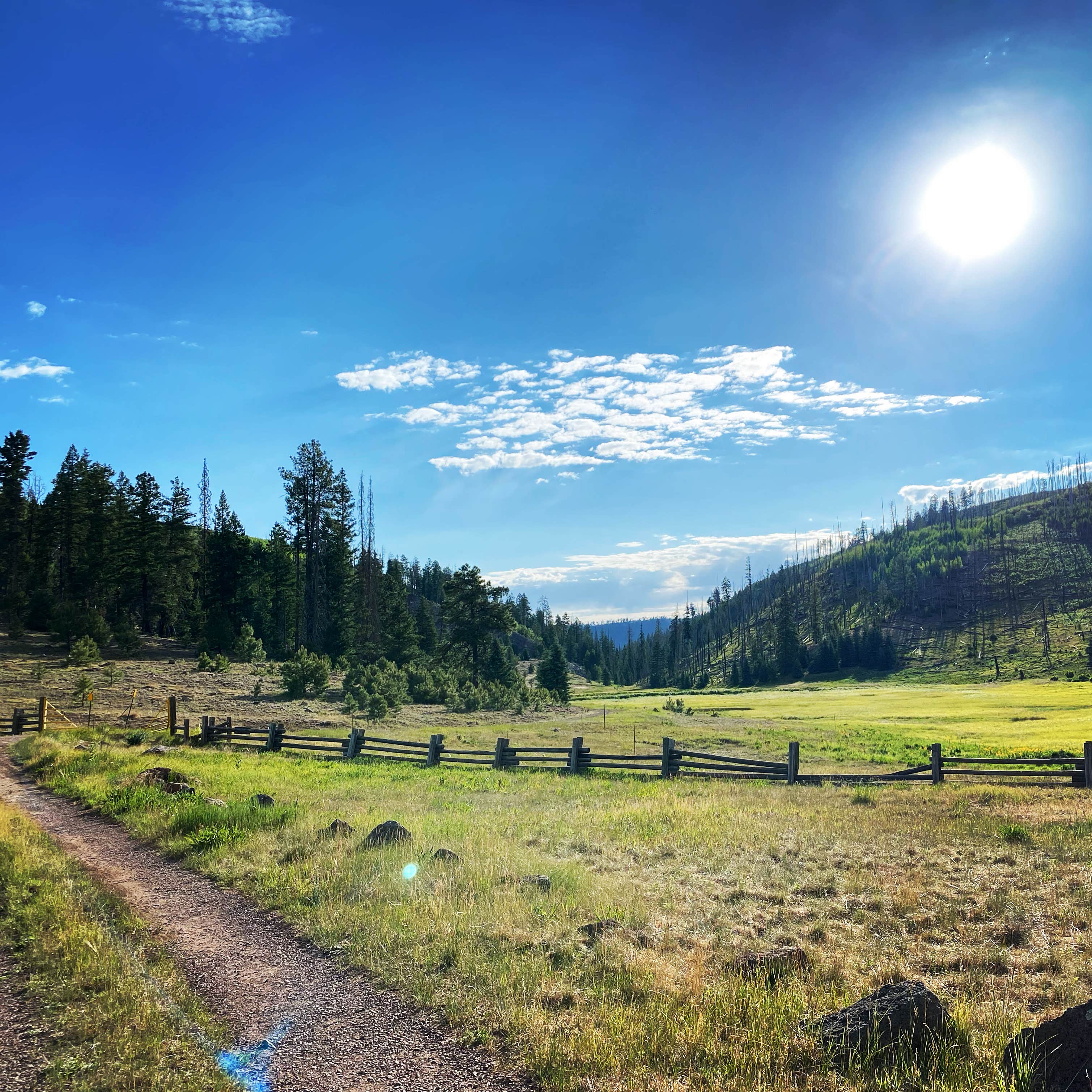 Camper-submitted photo at KP Cienega Campground near Blue, AZ
