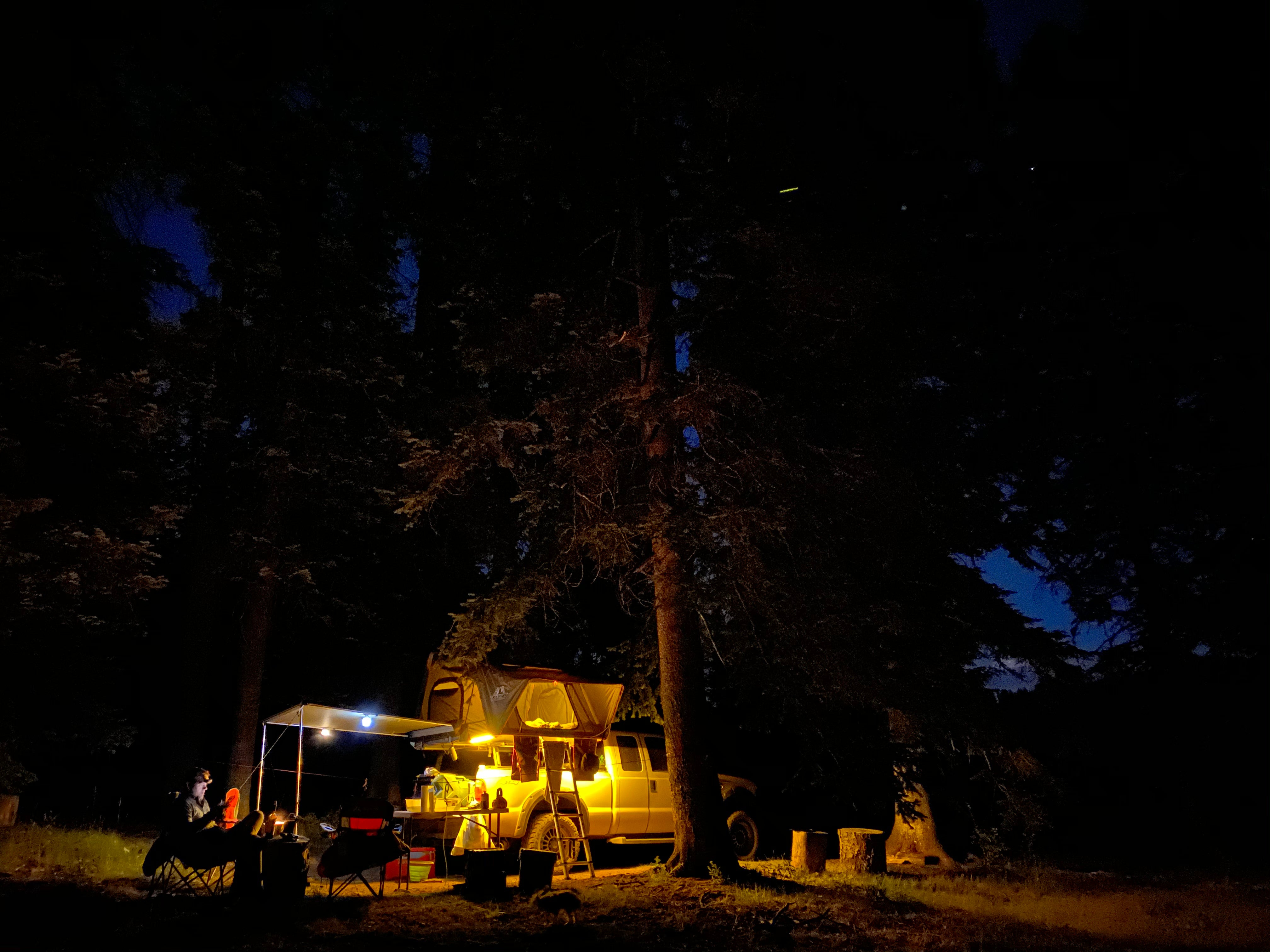 Camper submitted image from KP Cienega Campground - 1