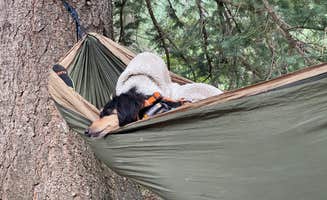 Beth G.'s photo of camping with pets at KP Cienega Campground near Alpine, AZ