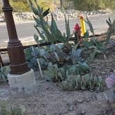 Review photo of Lake Havasu State Park Campground by John R., December 10, 2023