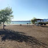 Review photo of Lake Havasu State Park Campground by Cheryl T., March 20, 2025