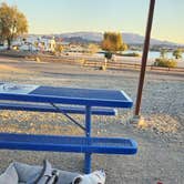 Review photo of Lake Havasu State Park Campground by Cheryl T., March 20, 2025