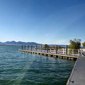 Review photo of Lake Havasu State Park Campground by Cheryl T., March 20, 2025