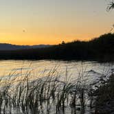 Review photo of Lake Havasu State Park Campground by Beverly M., July 1, 2025
