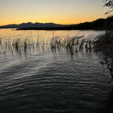 Review photo of Lake Havasu State Park Campground by Beverly M., July 1, 2025