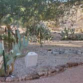 Review photo of Lake Havasu State Park Campground by John R., December 10, 2023