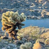 Review photo of Lake Mohave - Nevada Telephone Cove — Lake Mead National Recreation Area by Roy S., December 22, 2025