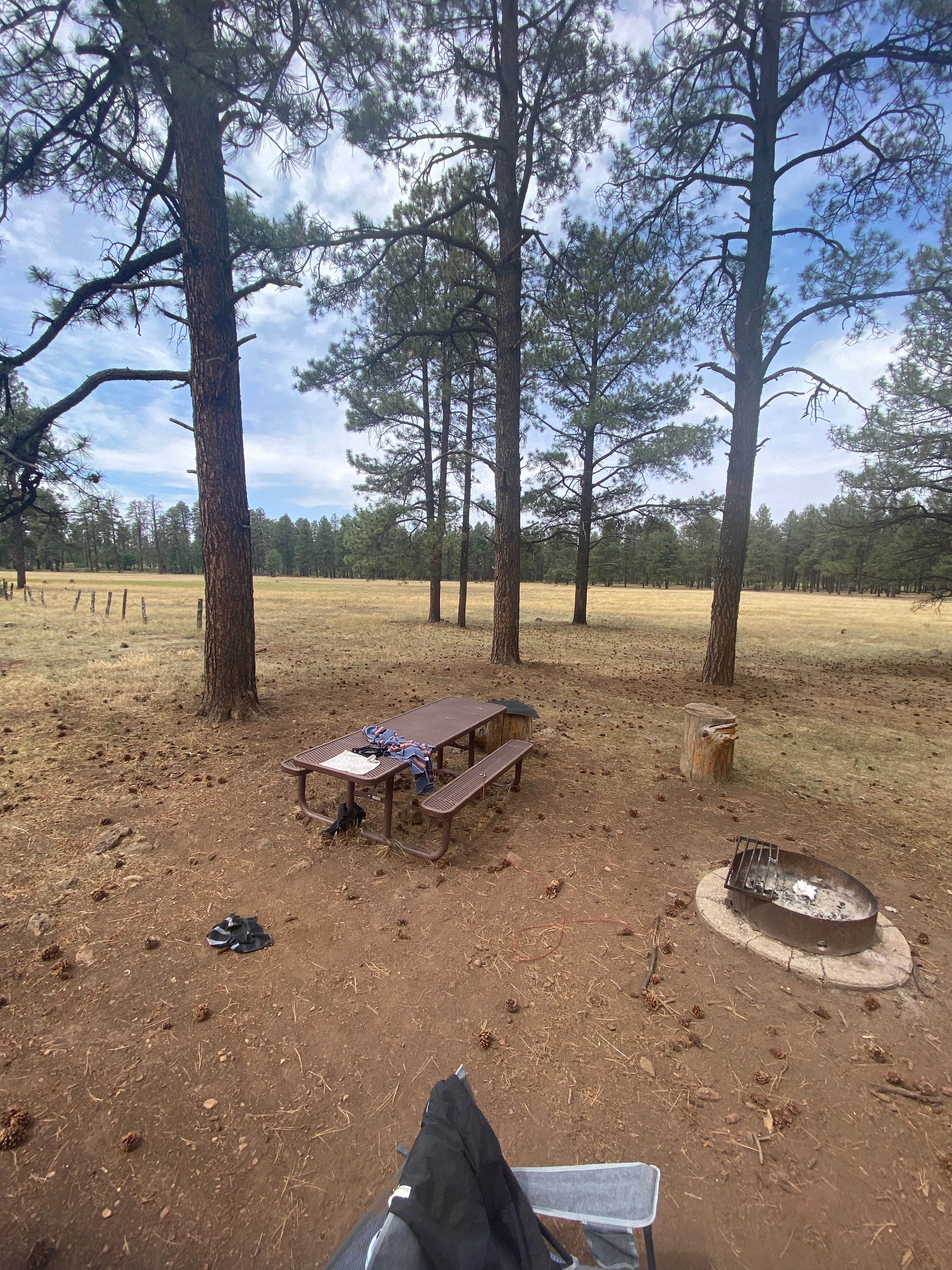 Camper-submitted photo at Los Burros Campground near McNary, AZ