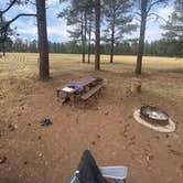 Review photo of Los Burros Campground by Mary Ann H., August 14, 2025