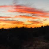 Review photo of Lost Dutchman State Park Campground by Lisa M., October 31, 2024