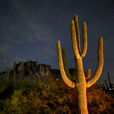 Review photo of Lost Dutchman State Park Campground by Scott K., December 18, 2023