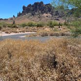 Review photo of Lost Dutchman State Park Campground by chellynn , October 22, 2023