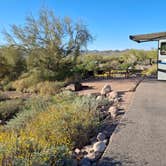 Review photo of Lost Dutchman State Park Campground by Leonard H., March 5, 2026