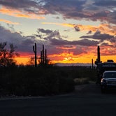 Review photo of Lost Dutchman State Park Campground by Mike T., January 28, 2024