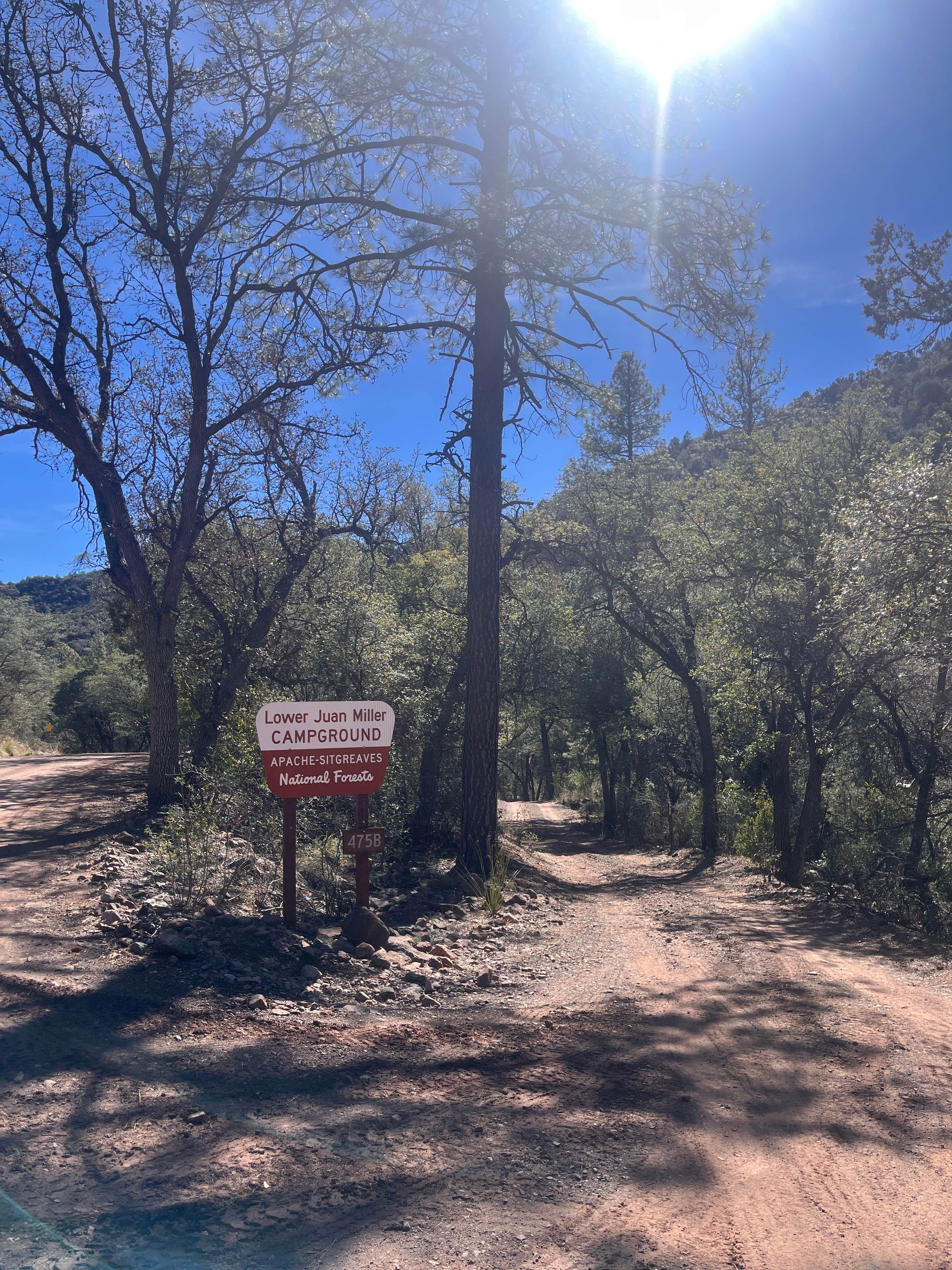 Camper-submitted photo at Lower Juan Miller Campground near Morenci, AZ